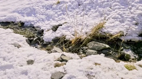 Small Creek in Spring surrounded by Snow Stock Footage 150662971