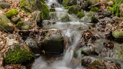 Small creek timelapse 4k 動画素材 68645491