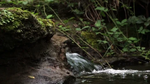 Small creek waterfall Stock Footage 95088491