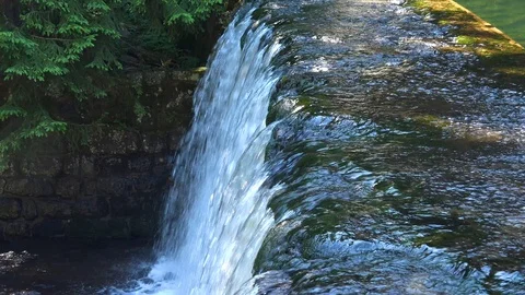 A small creek waterfall in a forest Video stock 95121680