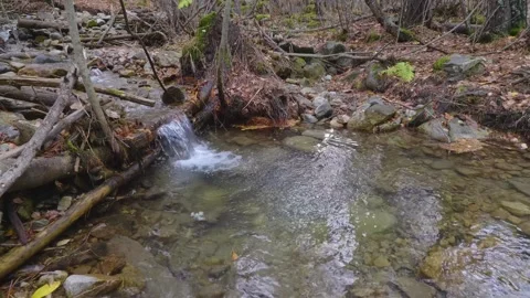 Small creek with a waterfall in a forest in the North Caucasus, Russia. Stock Footage 320855017