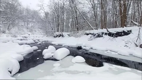Small creek in winter Stock Footage 305779284