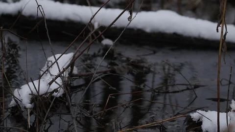 Small Creek In Winter Forest Stock Footage 84145740