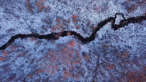 Small creek in winter forest, top down 4k aerial footage.  Stock Footage 101308742