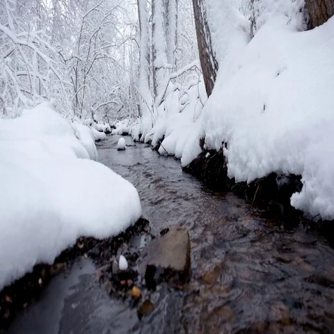 Small creek in winter snowy forest among snow banks. Stock Footage 69327331