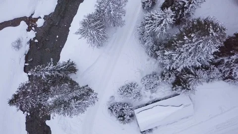 Small Creek In Winter Snowy Forest Aerial Stock Footage 104115845