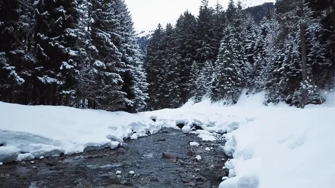 Small Creek In Winter Snowy Forest Among Snow Banks Stock Footage 104116080