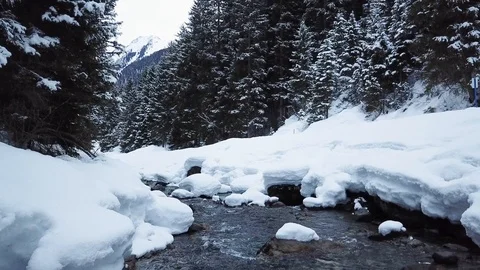 Small Creek In Winter Snowy Forest Among Snow Banks Stock Footage 104116101