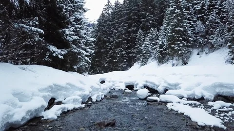 Small Creek In Winter Snowy Forest Among Snow Banks Aerial Stock Footage 104116182