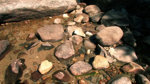 Small Creek in Yosemite National Park Stock Footage