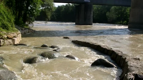 Small creek's delta with branch passing by 스톡 동영상 40609564