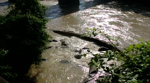 A small creek's delta 스톡 동영상 40612138