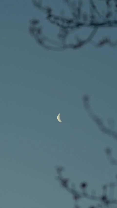 Small crescent moon glowing in pale blue-grey dusk sky delicately framed by Vidéo 336807710