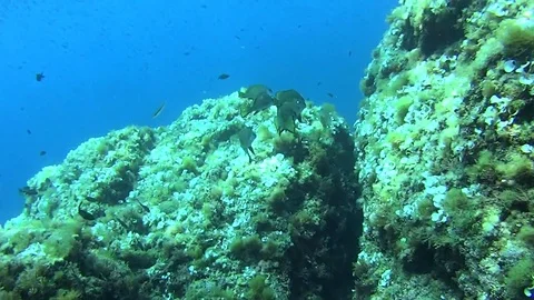 A small croakers bench Stock Footage 70436818