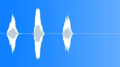 Small Crowd Gasps 1969 Sound Effect