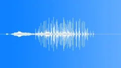 Small crowd lite surpriseSound Effect