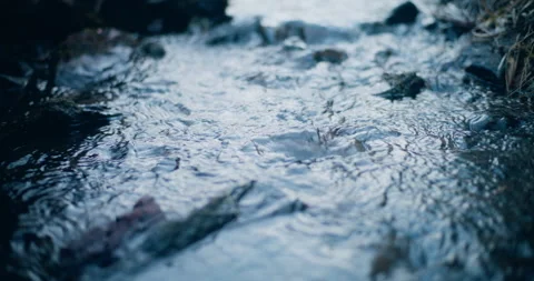 Small Crystal Water Stream in Mountains Stock Footage 236511426