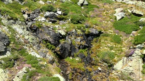 Small  crystalline stream . Stock Footage 82687473