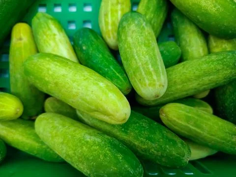 Small Cucumbers in The Market Foto stock