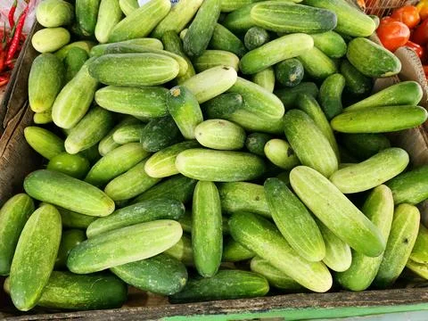 Small cucumbers piled inside crate for fresh market retail. Stock Photos