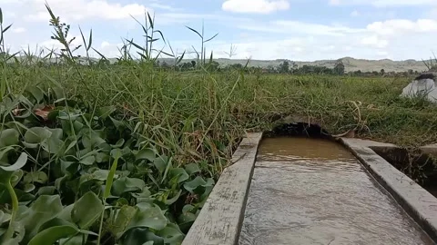 Small current under the overcast clouds. Vidéo 333802498
