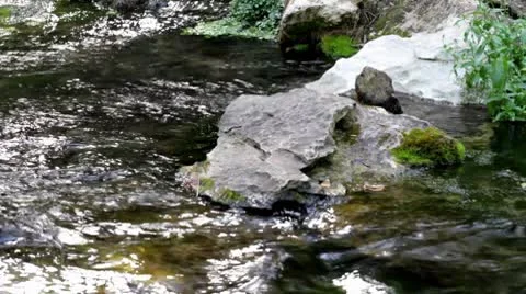 Small current3.mp4 Stock Footage 8850342