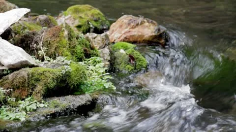 Small current5.mp4 Stock Footage 8850386