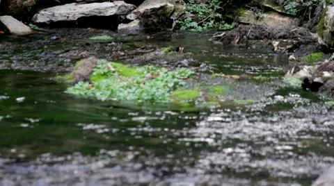 Small current6.mp4 스톡 동영상 8850403