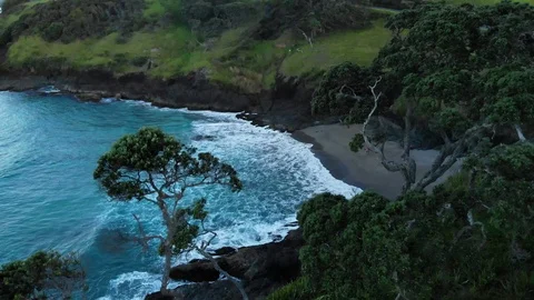 Small cute beach surrounded by trees, blue water in New Zealand  Vídeo Stock 95497326