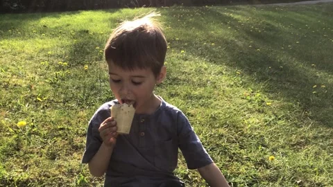 Small cute boy eating ice cream in the public park Stock Footage 277595688