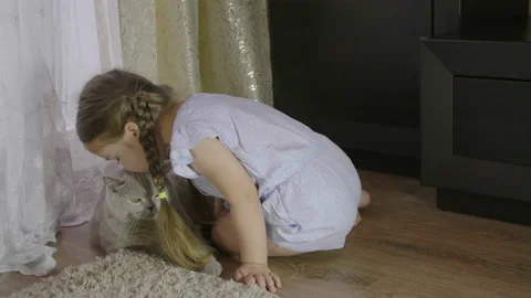 A small cute child and a big fluffy british cat. 库存影片 143976633