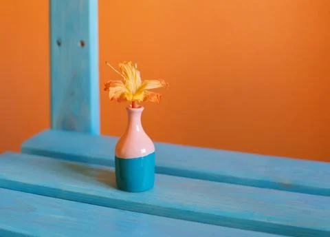 Small cute tiny vase with mini orange azalea flower. Bright yellow, orange, p Stock Photos