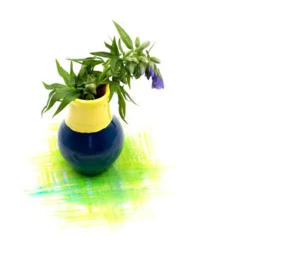 Small cute tiny vase with mini flowers bouquet and hand painted watercolor bl Stock Photos