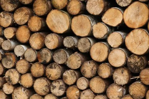 Small cutted timber logs. Timber. Wooden background Stock Photos