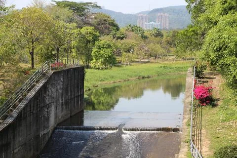 A small dam across the river, surrounded by green trees and grasslands Stock Photos