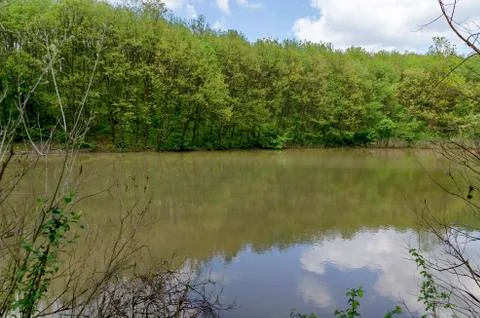 Small dam in the beautiful forest Stock Photos