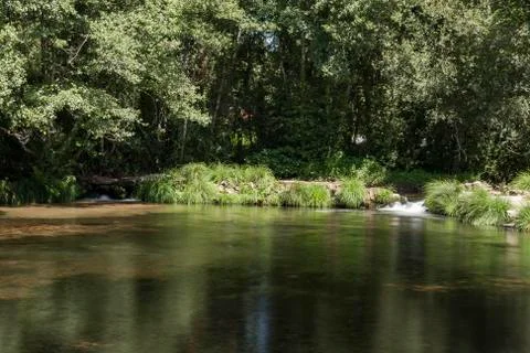 Small dam in the middle of the forest with two small waterfalls. Stock Photos