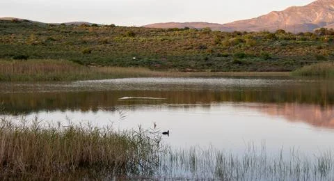 A small dam Stock Photos