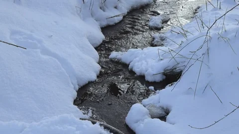 Small dark brown and cold water stream flowing in white fluffy snow covered Stock Footage 299833525