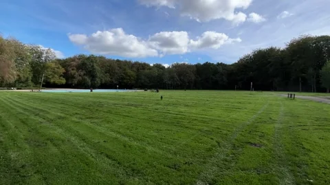 Small dark dog walking toward camera across mowed park lawn under blue sky Stock Footage 346794725