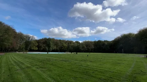 Small dark dog walking toward camera across mowed park lawn under blue sky Stock Footage 346794730