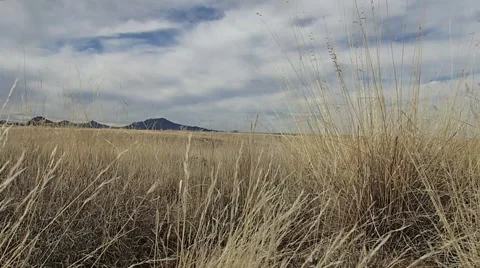 Small Dark Mountain Range Blowing Grass Stock Footage 46253863