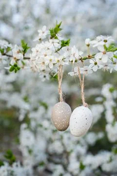 Small decoration easter eggs hanged on white blossoming cherry branches Foto stock