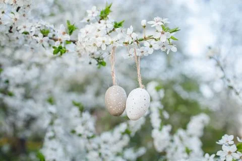 Small decoration easter eggs hanged on white blossoming cherry branches Foto stock