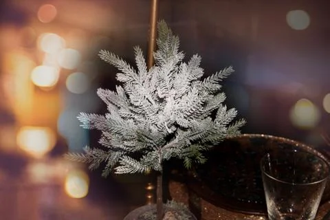 Small decorative Christmas tree in the snow Stock Photos