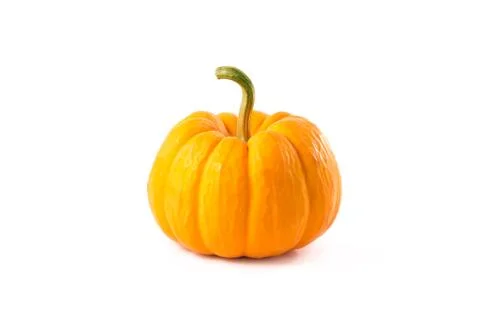 Small decorative orange pumpkin 스톡 사진