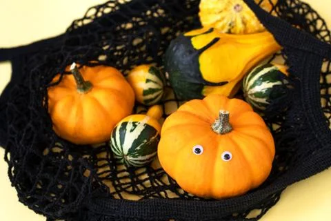 A small decorative pumpkins of a fancy shape in a black string shopping bag Foto stock