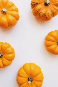 Small decorative pumpkins, top view. Stock Photos