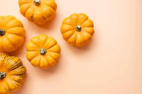 Small decorative pumpkins, top view. Stock Photos