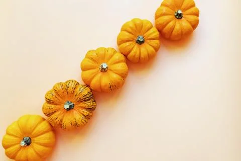 Small decorative pumpkins on white background Stock Photos